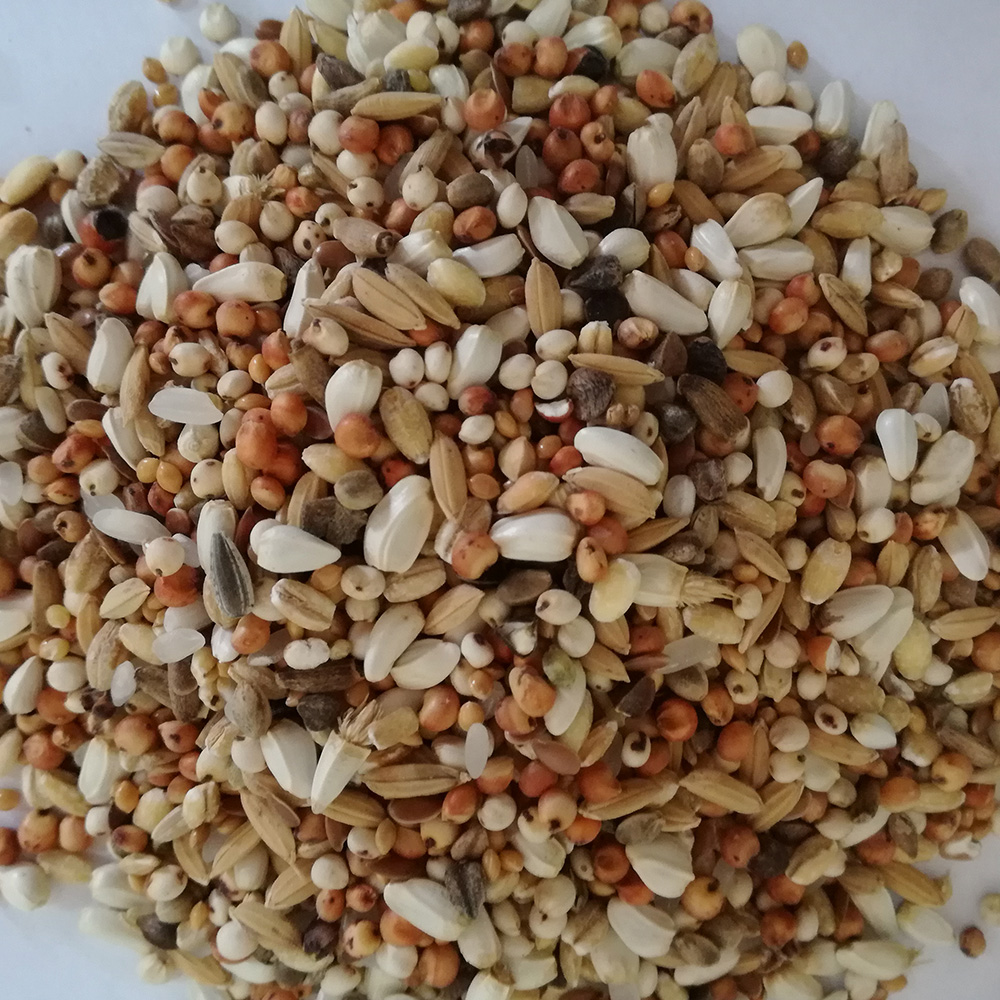 dieta-special dieta-special