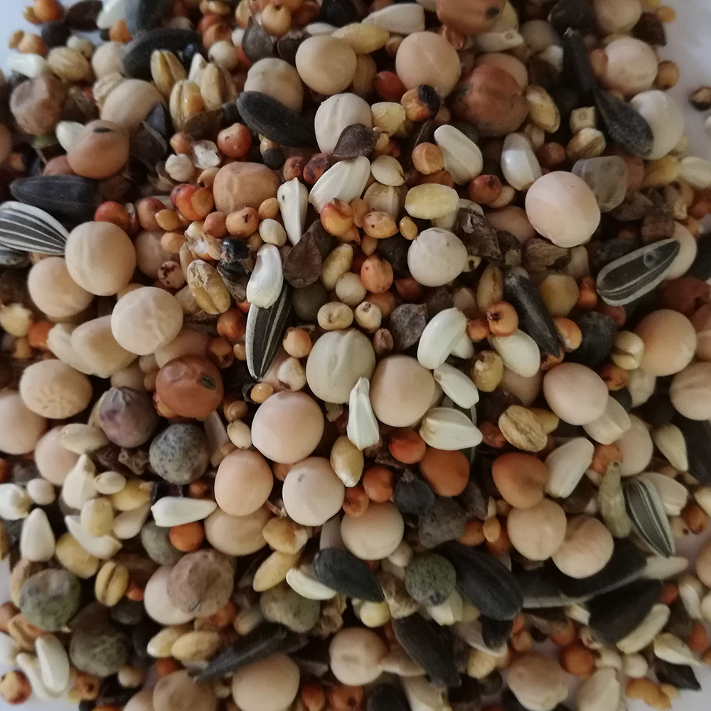 mieszanka-bk-bp mieszanka-bk-bp