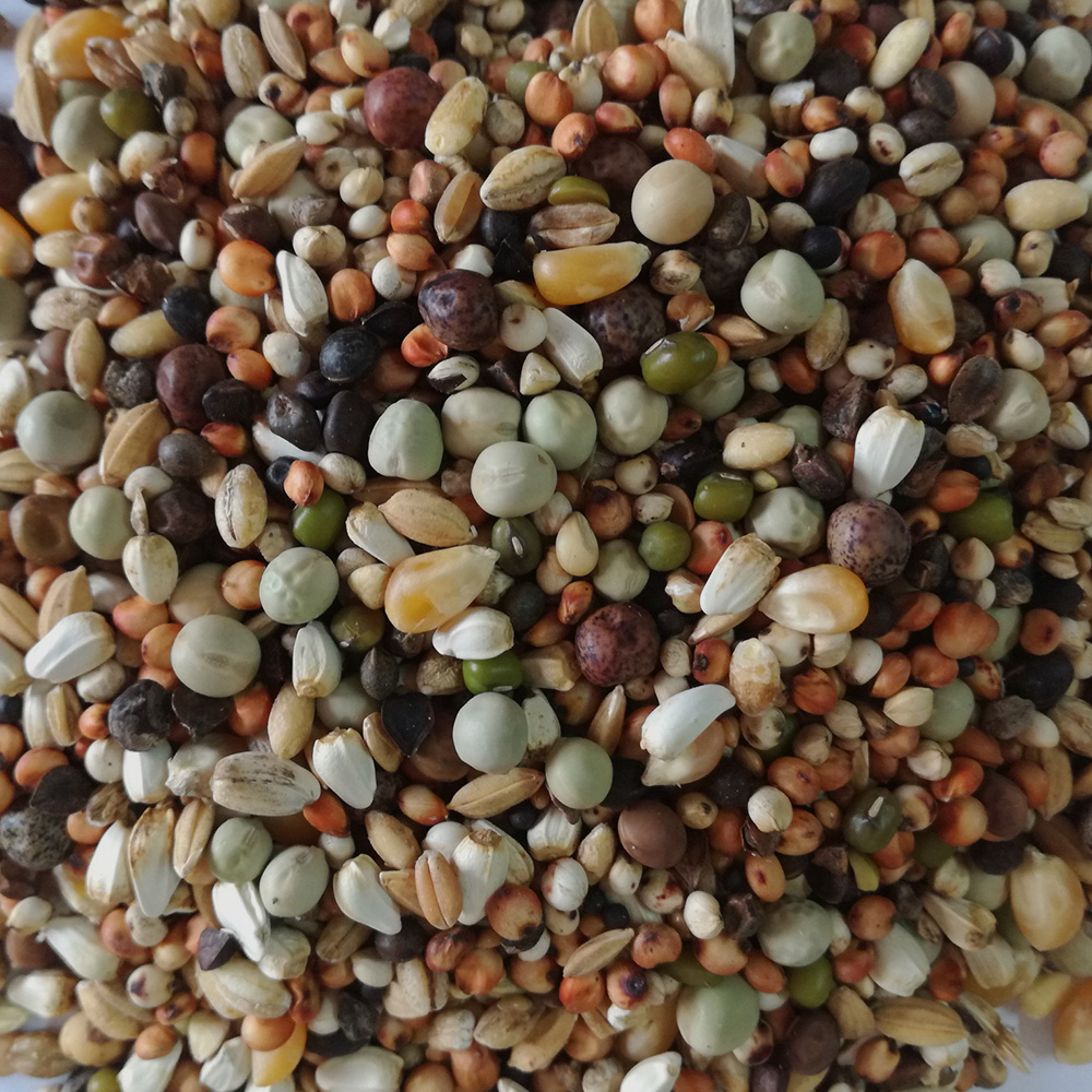 mieszanka-dla-mlodych mieszanka-dla-mlodych