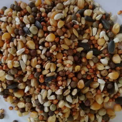 mieszanka-dla-ozdobnych