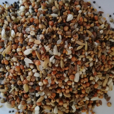 mieszanka-drobne-nasionka