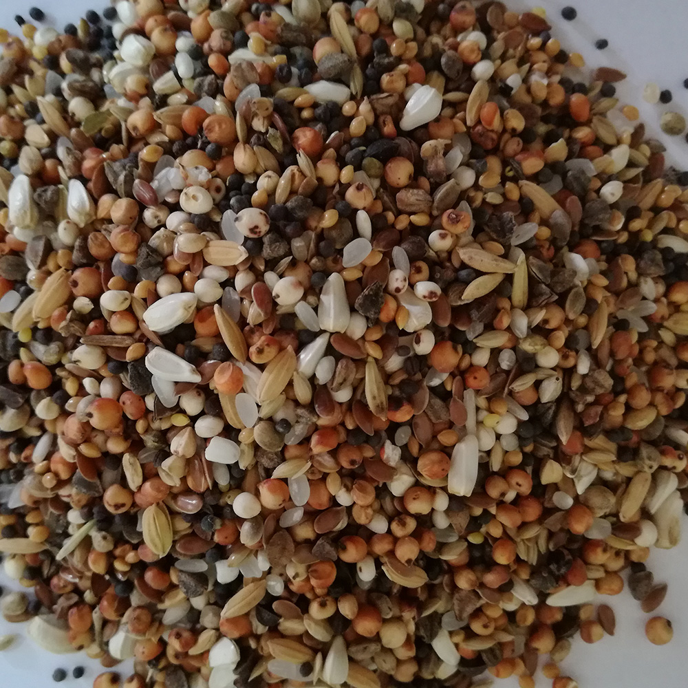 mieszanka-drobne-nasionka mieszanka-drobne-nasionka