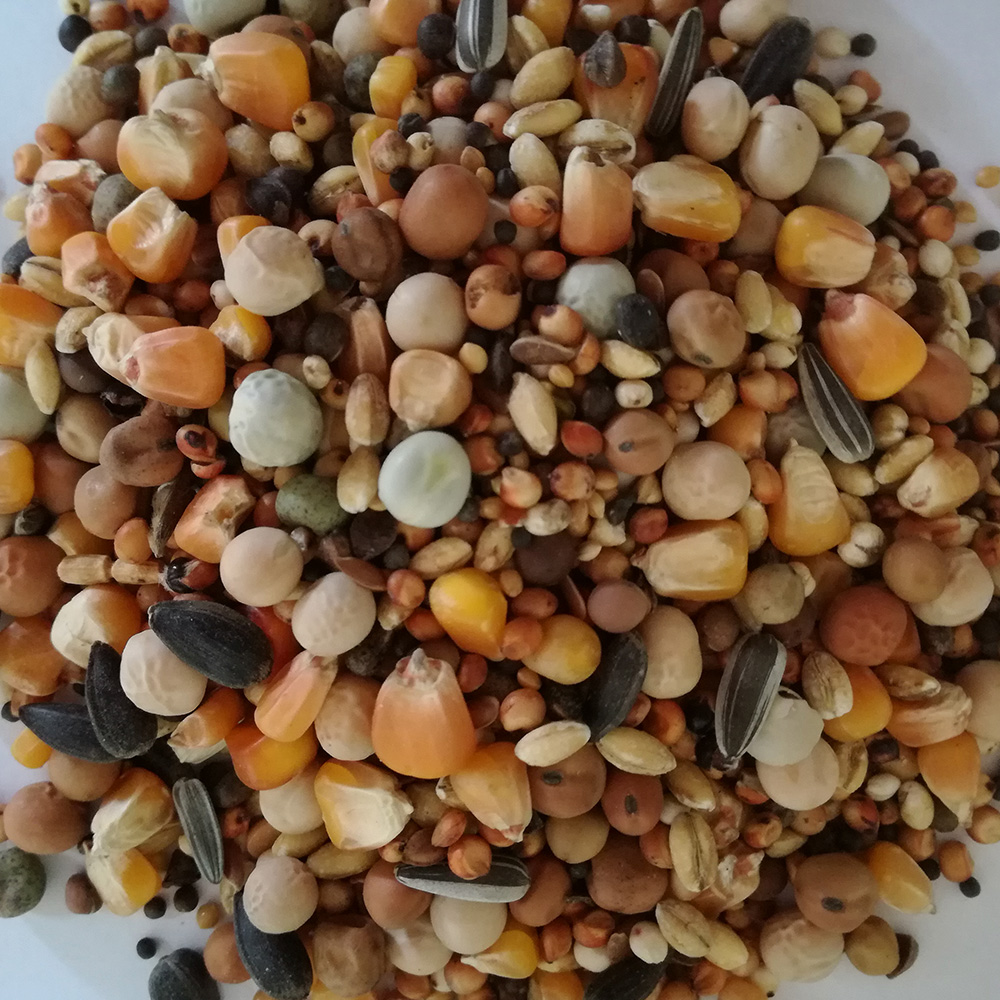 mieszanka-pierzeniowa-extra mieszanka-pierzeniowa-extra