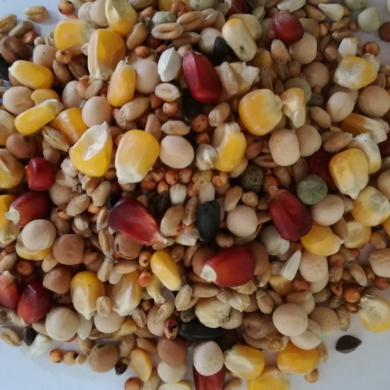 mieszanka-uniwersalna