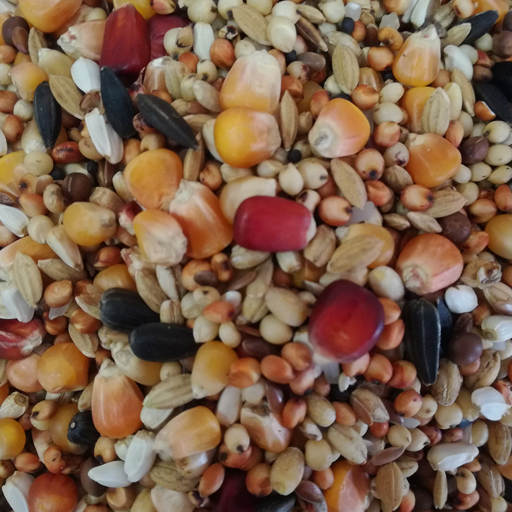 mieszanka-wdowiec-mistrzow mieszanka-wdowiec-mistrzow